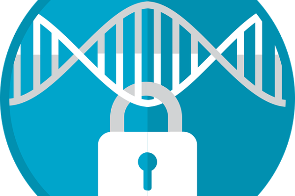 Protezione dei dati personali secondo il principio di Privacy by Design